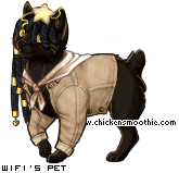 Dressed pet