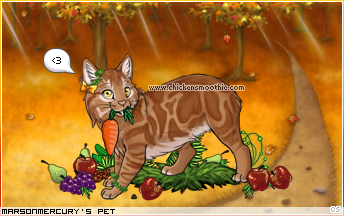 Dressed pet