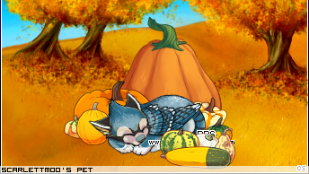 Dressed pet