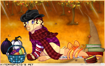 Dressed pet