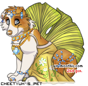 Dressed pet