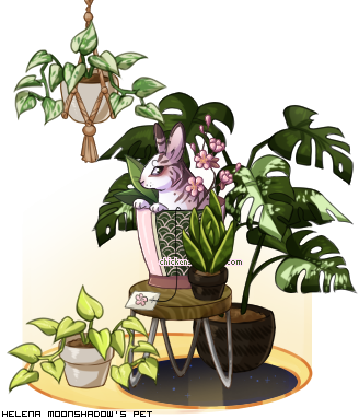 Dressup entry