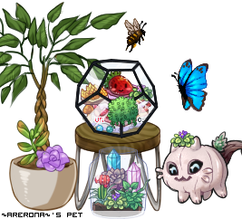 Dressed pet