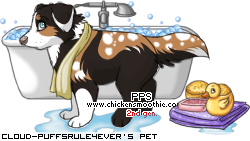 Dressed pet