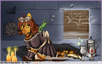 Dressed pet