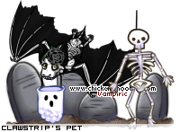 Dressed pet