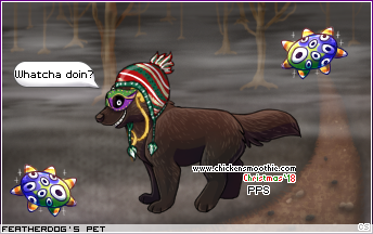 Dressed pet