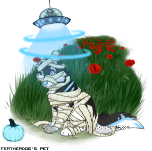 Dressed pet