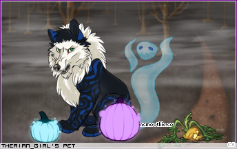 Dressed pet