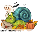 Dressed pet