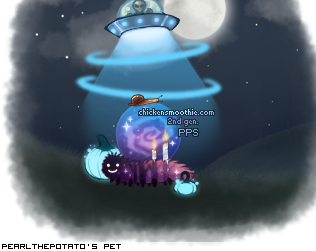 Dressed pet
