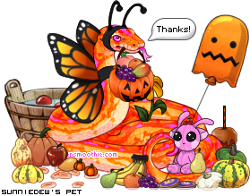 Dressed pet