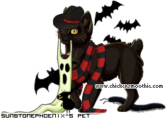 Dressed pet