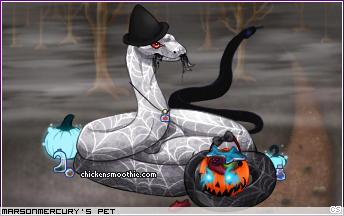 Dressed pet