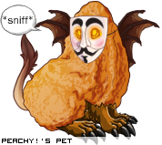 Dressed pet