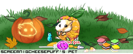 Dressed pet