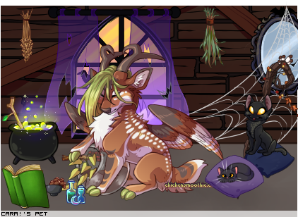 Dressed pet