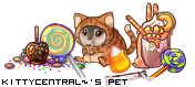 Dressed pet