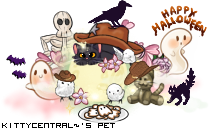 Dressed pet