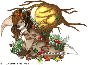 Dressed pet