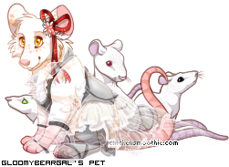 Dressed pet