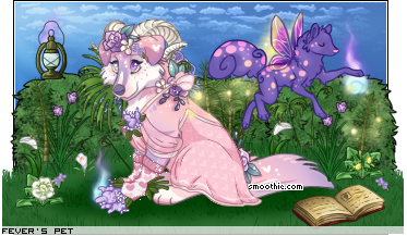 Dressed pet