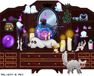 Dressed pet
