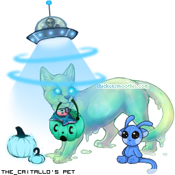Dressed pet