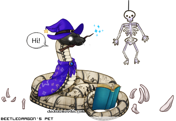 Dressed pet