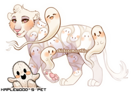 Dressed pet