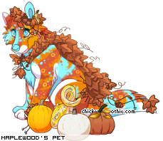 Dressed pet