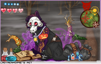 Dressed pet