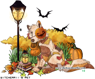 Dressed pet