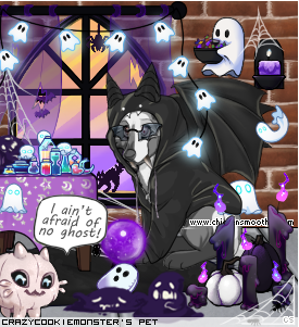 Dressed pet