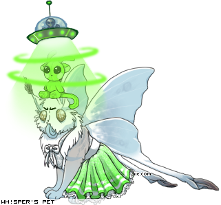 Dressed pet