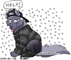 Dressed pet