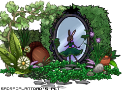 Dressed pet