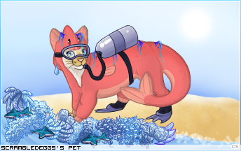 Dressed pet