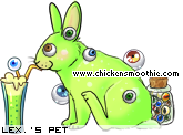 Dressed pet