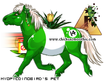 Dressed pet
