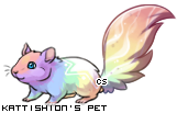 Dressed pet