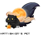Dressed pet