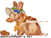 Dressed pet