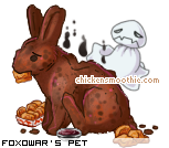Dressed pet
