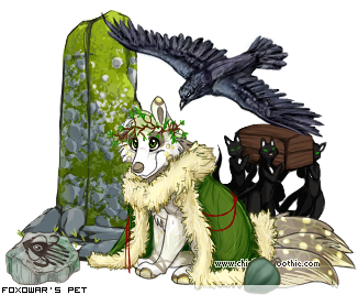 Dressed pet