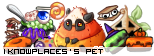 Dressed pet