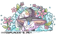 Dressed pet
