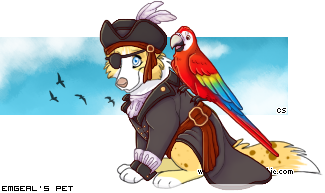 Dressed pet