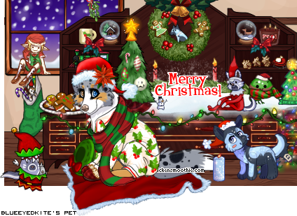 Dressed pet