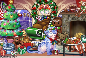 Dressed pet